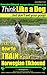 Norwegian Elkhound, Norwegian Elkhound Training AAA AKC Think Like a Dog ~ But Don't Eat Your Poop! | Norwegian Elkhound Breed Expert Training: Here's EXACTLY How To TRAIN Your Norwegian Elkhound