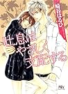 吐息はやさしく支配する (幻冬舎ルチル文庫) (Japanese Edition)