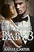 The White Billionaire's Baby 3 (BWWM Interracial Billionaire Pregnancy Romance) (The Billionaire's Baby)