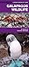 Galapagos Wildlife: A Folding Pocket Guide to Familiar Animals (A Pocket Naturalist Guide)