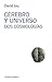 Cerebro y Universo (Spanish Edition)
