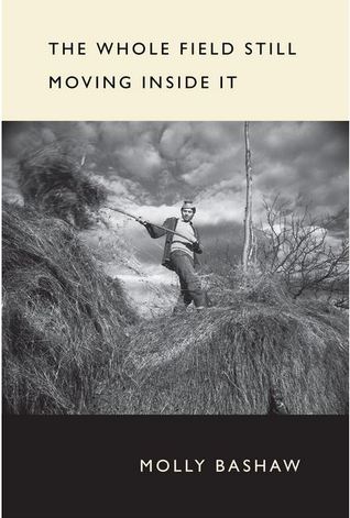 The Whole Field Still Moving Inside It (Paperback)