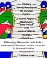 Reflexology Rescue for Acid Reflux (MyReflexologist Says: Help yourself-and others-feel your best Book 14)