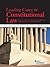 Leading Cases in Constituti...