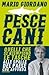 Pescecani: Quelli che si riempiono le tasche alle spalle del Paese che affonda