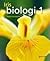 Iris biologi 1