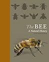 The Bee by Noah Wilson-Rich