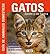 Gatos. Sanos y en forma