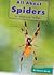 All About Spiders