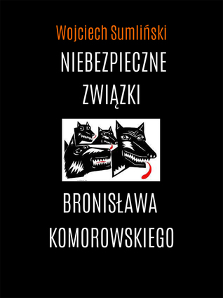 Niebezpieczne związki Bronisława Komorowskiego (Paperback)