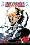 Bleach, Volume 49