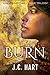 Burn (Maiden, Mother, Crone #1)