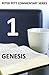 Genesis (Peter Pett Commentary Series Book 1)