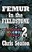 Femur in the Fieldstone (Dairyland Murders Book 2)