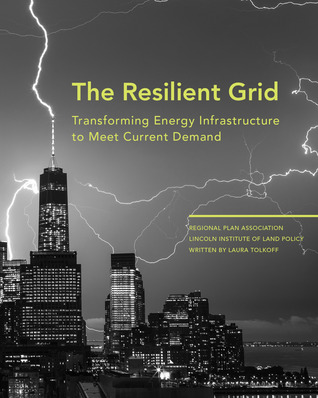 The Resilient Grid: Transforming Energy Infrastructure to Meet Current Demand (Policy Focus Reports)