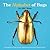The Alphabet of Bugs: An ABC Book