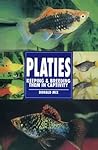 Platies, Keeping & Breeding Them in Captivity