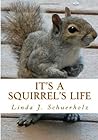 It's a Squirrel's Life: a Tale of Stress and Misunderstanding