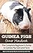 Guinea Pigs Owner Handbook by Sarah Yee