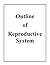 Outline of Reproductive System