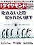 週刊ダイヤモンド 2015年3/28号 ［雑誌］