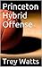 Princeton Hybrid Offense