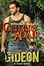 Gideon (Stark Brothers #2)