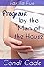 Pregnant by the Man of the House (Fertile Fun Book 4)