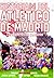 Historia(s) del Atlético de Madrid