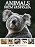 Animals from Australia