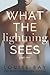 What the Lightning Sees: Pa...