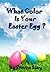 What Color Is Your Easter Egg?: Cute Easter book that helps children learn colors