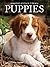 Puppies by Snapshot Picture Library