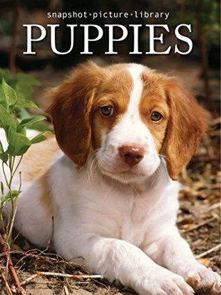 Puppies (Snapshot Picture Library)
