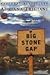 Big Stone Gap by Adriana Trigiani