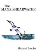 The Manx Shearwater