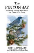 The Pinyon Jay: Behavioural Ecology of a Colonial and Cooperative Corvid