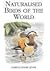 Naturalised Birds of the World