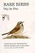 Rare Birds Day by Day