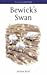 Bewick's Swan