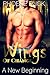 Wings Of Change: A New Beginning (A BBW Female Dragon-Shifter Paranormal Romance) (WOC Serial Part 3)