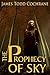 The Prophecy of Sky: Based on the character Sky from the Max and the Gatekeeper Series