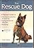 The Rescue Dog