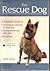 The Rescue Dog
