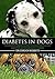 Diabetes in Dogs: A Compreh...