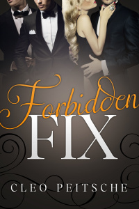 Forbidden Fix (Executive Toy, #6)