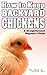 How to Keep Backyard Chickens - A Straightforward Beginner's Guide