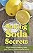 Baking Soda Secrets by Marsha Dover