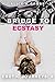 Bridge to Ecstasy (Lissa and Sam Book 1)