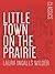 Little Town on the Prairie: Little House on the Prairie #7